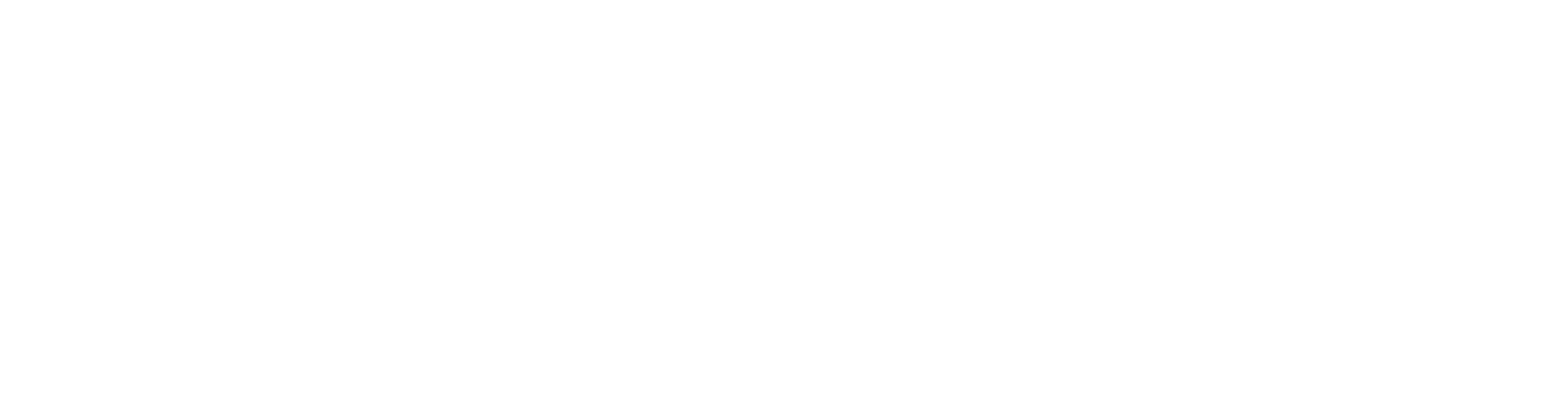 fp-logo-name-negative-1
